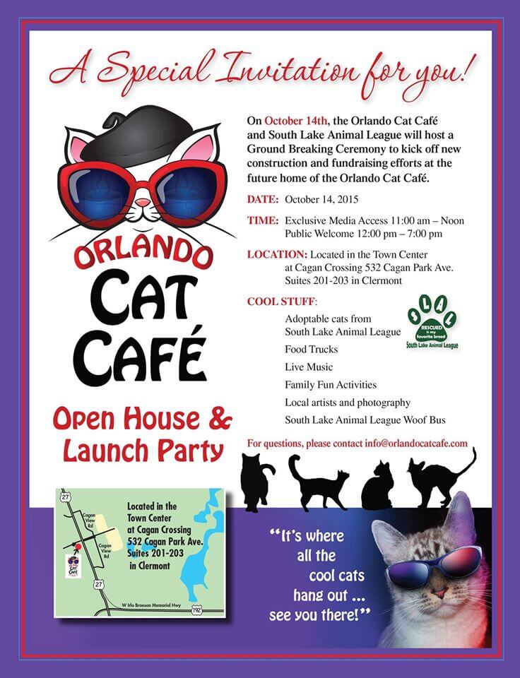 orlando cat cafe ground breaking flyer orlandocatcafe flyers orlando