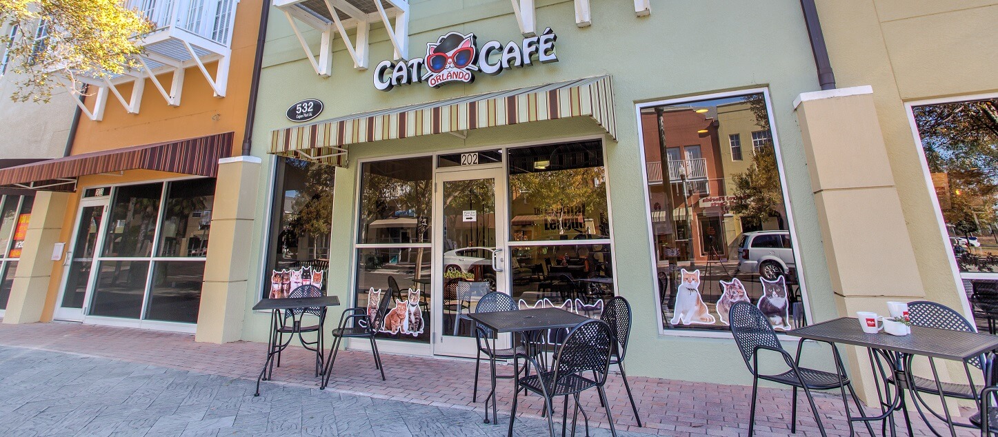 40 HQ Pictures Cat Cafe Tallahassee Florida : Tally Cat Cafe 77 Photos 28 Reviews Coffee Tea 2218 N Monroe St Tallahassee Fl United States Restaurant Reviews Phone Number Menu