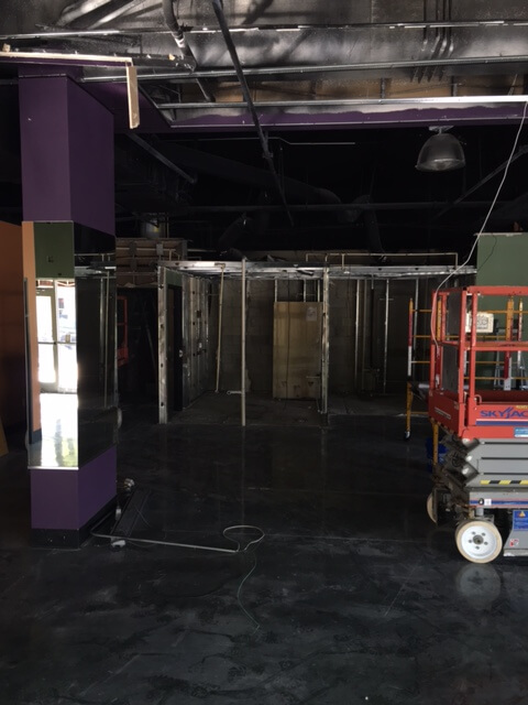 Orlando Cat Cafe|Construction