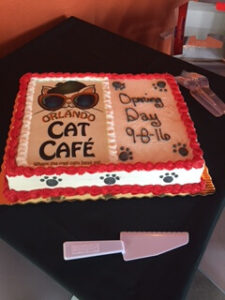 OrlandoCat Cafe|Opening Day Cake