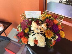 Orlando Cat Cafe|Cat Flowers