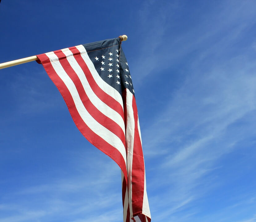Orlando Cat Cafe|American Flag