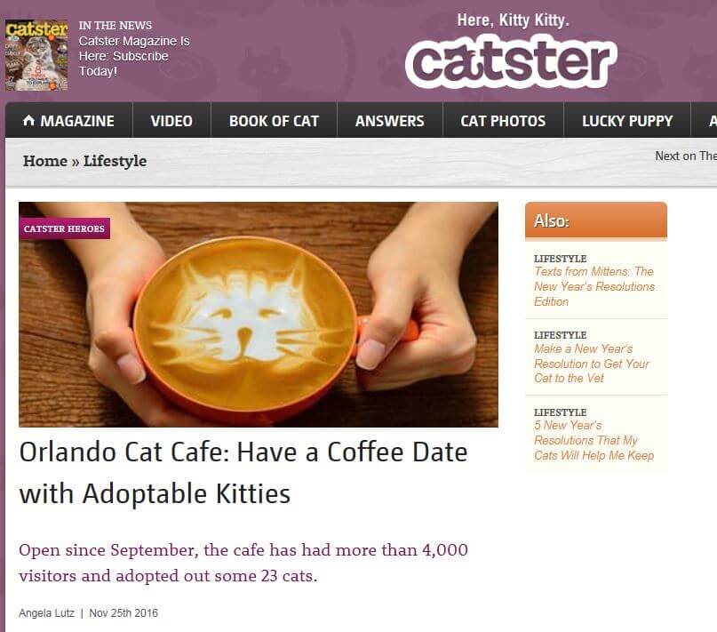 catster magazine screenshot