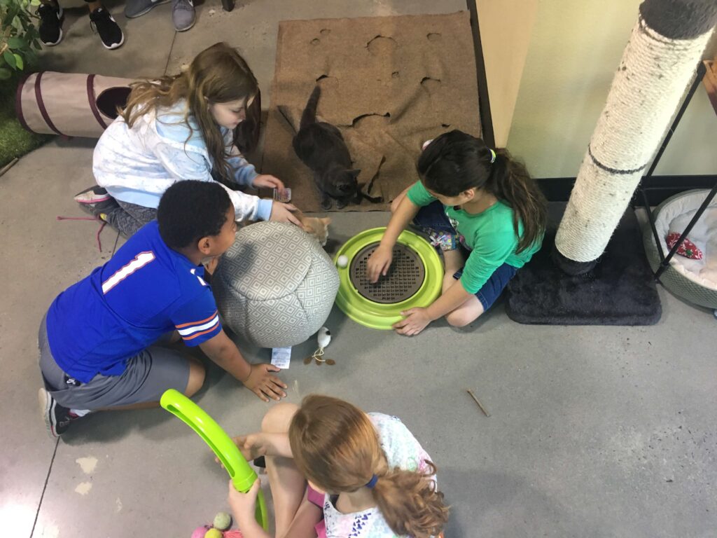 OCC Hosts Group from Children’s Home Orlando Cat Cafe