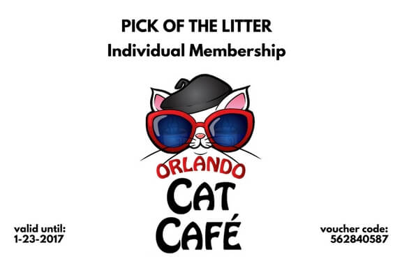 Annual Pass Individual Membership  orlandocatcafe