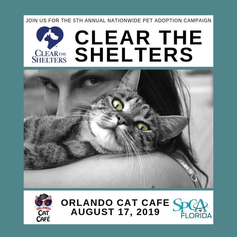 CLEAR THE SHELTERS