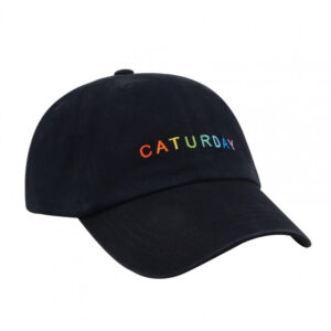 Caturday Rainbow Hat
