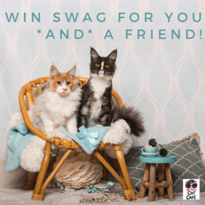 Win swag for you and a friend with the Orlando Cat Cafe sweepstakes!