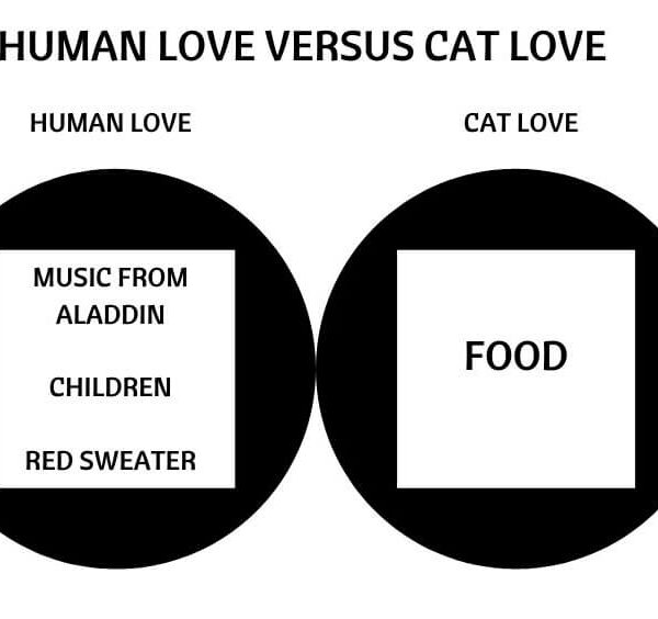 Human Love Versus Cat Love