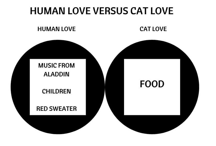 Human Love Versus Cat Love