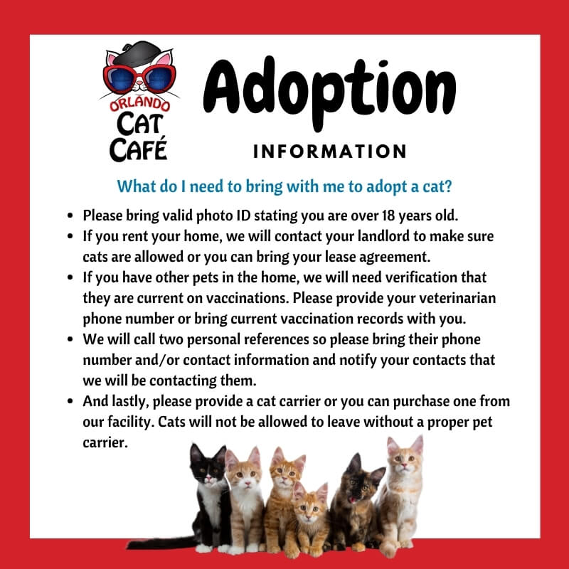 Adoption Info