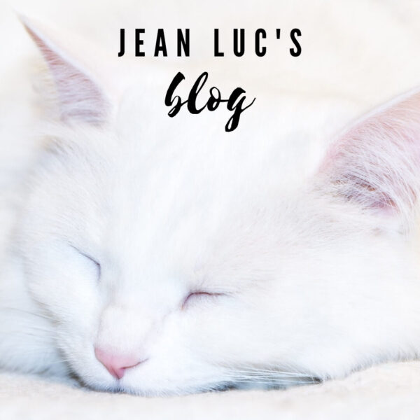 Jean Luc's Blog Image