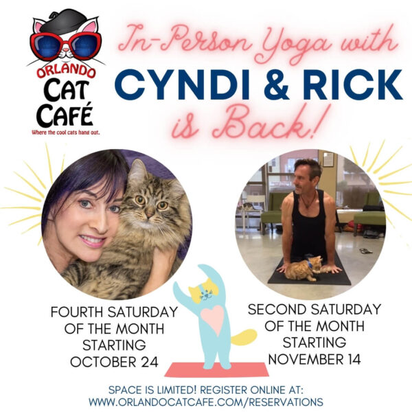 In Person Yoga is Back!
