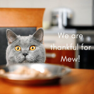 We are thankful for mew!
