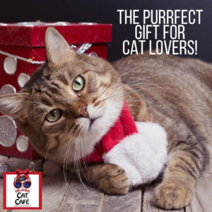 Find your purrfect cat holiday merchandise!