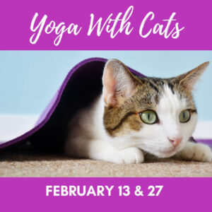 February Yoga