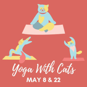 May Yoga