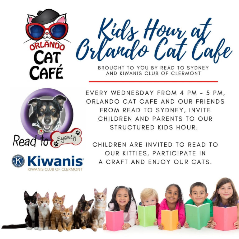 Kids Hour on Wednesday