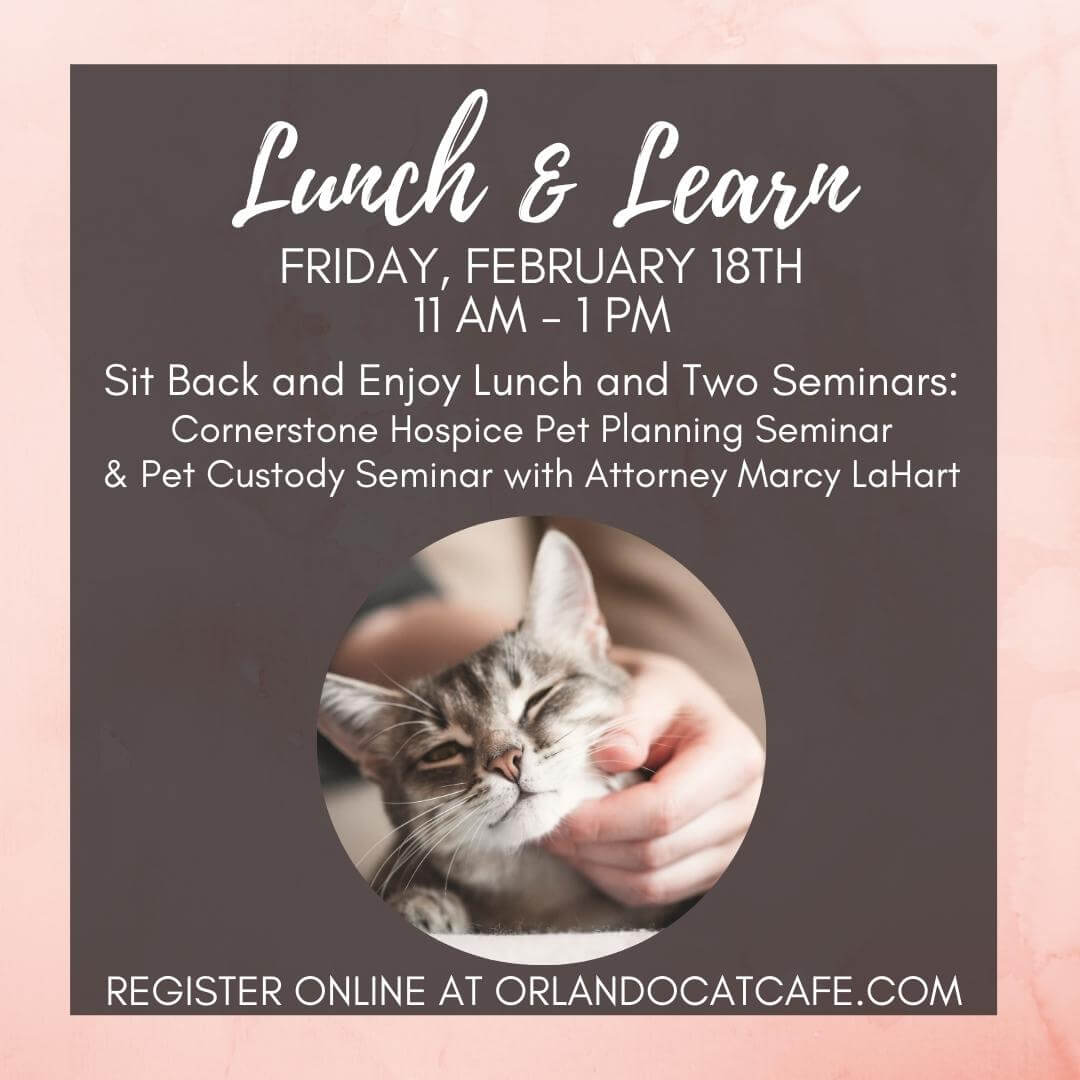 February Lunch and Learn event