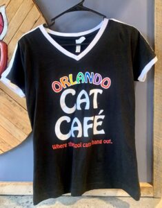 Rainbow VNeck shirt