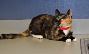 Miracle - Female, Born 12/19/21