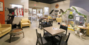 Orlando Cat Cafe