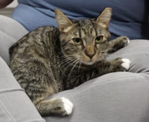 Kumba - Male, Born 4/1/22