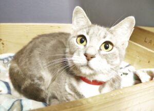 Moon - Female, Born 5/5/21