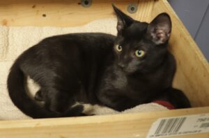 Rain - Male, 5/22/22