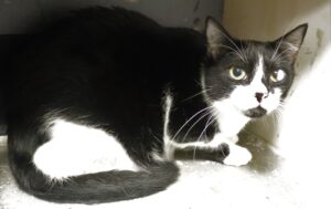 Jack - Male, Born 6/15/20