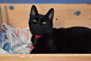 Rosie - Female, Born 4/8/21