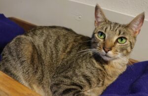 Coco - Female, Born 6/15/21
