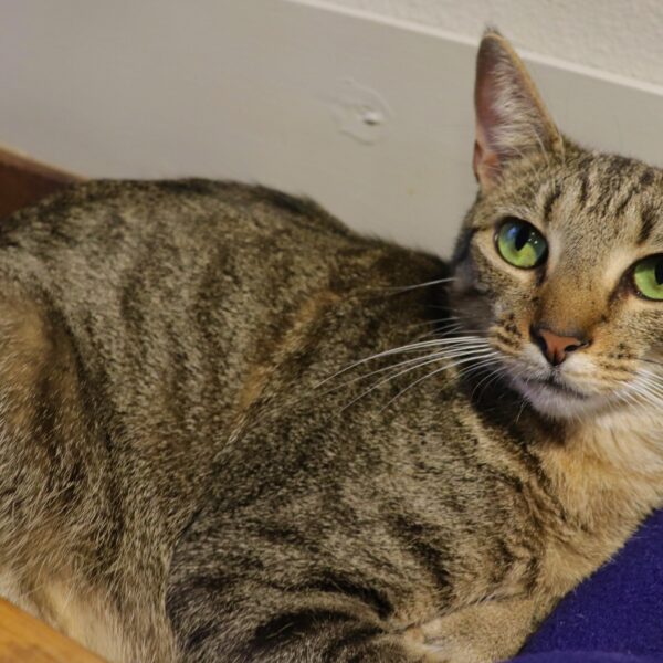 Coco - Female, Born 6/15/21