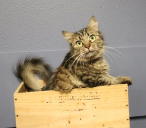 Jelly - Female, Born 9/13/20