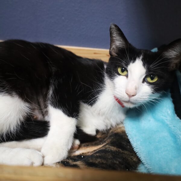 Tammy Female Born 3/15/21
