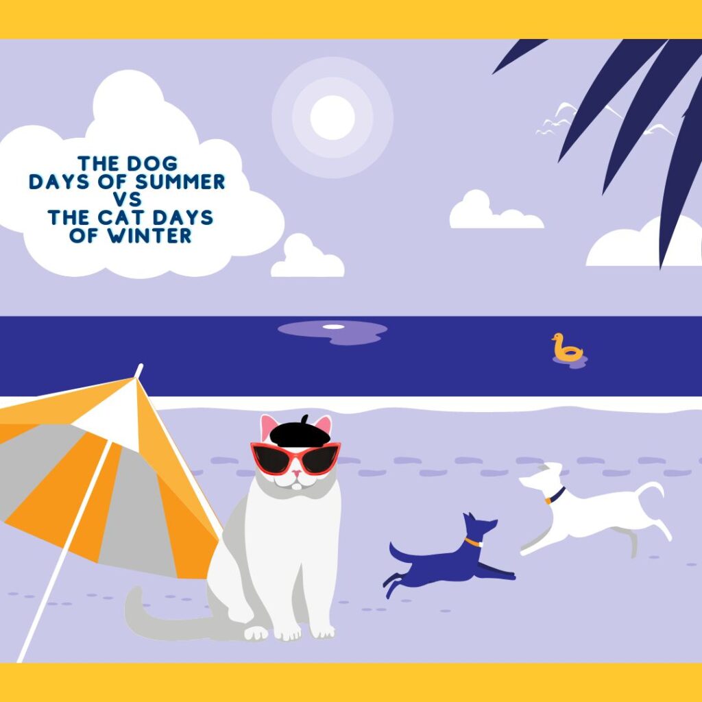 cats and dogs on a beach with umbrella
