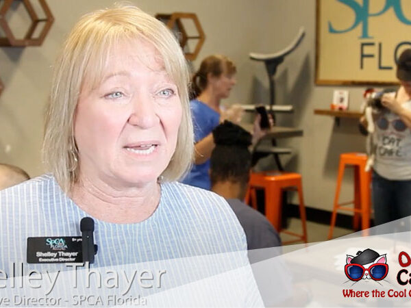 Hear-from-Shelly-Thayer,-SPCA-Florida-Shelter-Director!