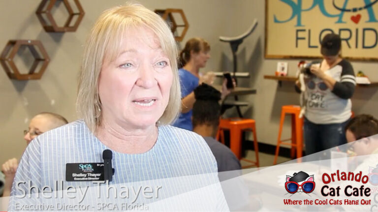 Hear-from-Shelly-Thayer,-SPCA-Florida-Shelter-Director!